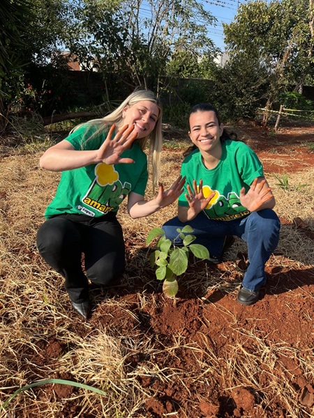Sarandi ganha Bosque dos Ipês